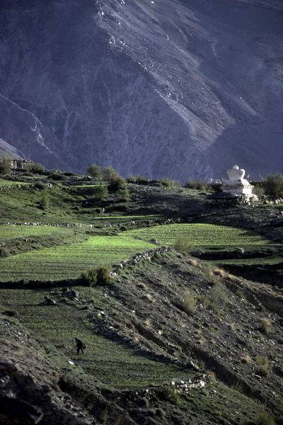 122-ladakh-zanskar-122